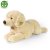 Golden retriever gosedjur