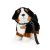Berner sennenhund mjukisdjur med koppel 22 cm Rappa