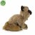 Katt siamese mjukisdjur 28 cm Rappa x