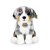 Australian shepherd mjukisdjur 30 cm Rappa