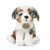 Australian shepherd mjukisdjur 23 cm Rappa