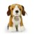 Beagle mjukisdjur 20 cm Rappa 2