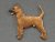 Thai ridgeback dog tjeckisk brosch