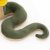 Orm mjukisdjur Jasper the Snake 15 cm Orange Toys
