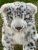 Snöleopard mjukisdjur 7053 Hansa