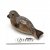 Säl miniatyr porslinsfigur Chukchi Ringed Seal