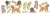 Labradoodle mugg design 2 Animal P