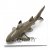 Haj miniatyr porslinsfigur Guardian Black Tip Shark
