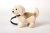 Golden retriever mjukisdjur med koppel UNI