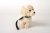 Golden retriever mjukisdjur med koppel UNI