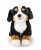 Berner sennenhund mjukisdjur 20 cm Nici
