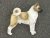 American akita tjeckisk brosch