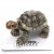 Sköldpadda miniatyr porslinsfigur Darwin Galapagos