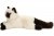 Birmakatt mjukisdjur 36 cm Teddy Hermann