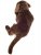 Labrador retriever (brun) mjukisdjur 50 cm Teddy Hermann