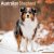 Australian shepherd väggkalender 2027