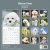 Bichon frisé väggkalender 2027