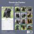 Bouvier des flandres väggkalender 2027
