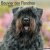 Bouvier des flandres väggkalender 2027
