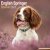 Engelsk springer spaniel väggkalender 2027