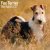 Strävhårig foxterrier väggkalender 2027