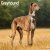 Greyhound väggkalender 2027