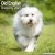 Old english sheepdog väggkalender 2027