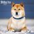 Shiba väggkalender 2027