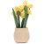 Påsklilja mjukisdjur Amuseables Daffodil Pot Jellycat