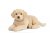 Labrador retriever (gul) mjukisdjur Giant LN u