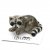 Tvättbjörn miniatyr porslinsfigur Bandit