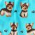 Yorkshireterrier strumpor 1-pack dam Imagery
