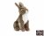 Hare mjukisdjur Living Nature