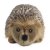 Igelkott mjukisdjur Hedgehog medium Living Nature