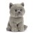 Katt mjukisdjur British Grey kattunge Living Nature x