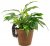 Tax (korthårig) Pot Buddy 1-pack