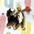 Berner sennenhund pin