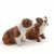 Engelsk bulldogg salt & pepparkar x