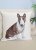 Bullterrier kuddfodral dubbelsidigt 1