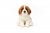 Sankt bernhardshund mjukisdjur 27 cm UNI