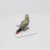 Papegoja miniatyr porslinsfigur Congo African Gray Parrot