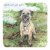 Glasunderlägg Borderterrier 2-pack And it's not just mud