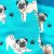 Mops strumpor 1-pack dam Imagery