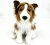 Shetland sheepdog mjukisdjur sittande UNI