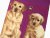 Labrador retriever (gul) strumpor Masterpiece JHJ