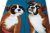 Boxer strumpor Masterpiece JHJ