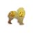 Australian shepherd pin av emalj
