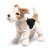 Foxterrier Steiff