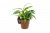 Fransk bulldogg Pot Buddy 1-pack