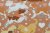 Spaniels presentpapper 70x30 cm